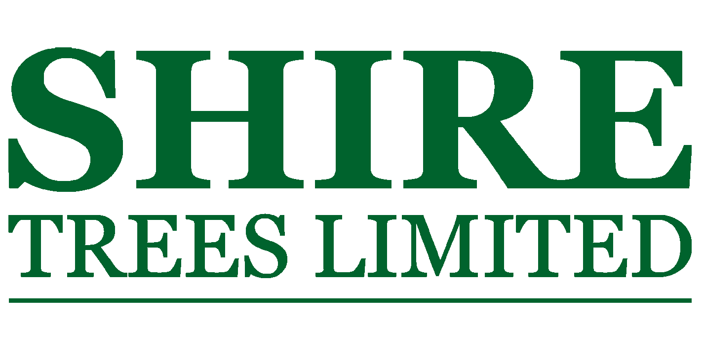 Tree Surgeons in Cambridgeshire - SHIRE TREES LIMITED